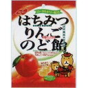 大阪京菓 ZRxノーベル製菓　110G　はちみつりんごのど飴袋×48袋　+税　【送料無料（北海道・沖縄は別途送料）】【x】