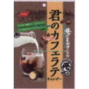 大阪京菓 ZRxノーベル製菓　80G 君のカフェラテ×96個【xw】【送料無料（沖縄は別途送料）】