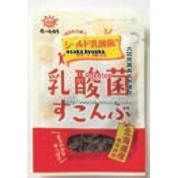 大阪京菓 ZRx前島食品　13G　乳酸菌すこんぶ×160個【xw】【送料無料（沖縄は別途送料）】