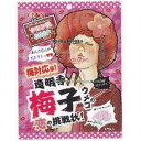 大阪京菓 ZRxリボン　60G 道明寺梅子の恋の挑戦状×48個【xw】【送料無料（沖縄は別途送料）】