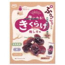 大阪京菓 ZRxエムディエッチ 30G きになるきくらげ 梅しそ味×288個【xr】【送料無料(沖縄は別途送料)】