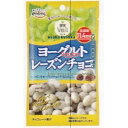 大阪京菓 ZRx正栄デリシィ 38G 果実Veilヨーグルトレーズンチョコ【チョコ】×384個【xr】【送料無料(沖縄は別途送料)】