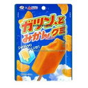 大阪京菓 ZRx不二家 53G ガツン、とみかんグミ×480個【xr】【送料無料(沖縄は別途送料)】