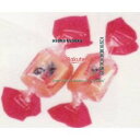大阪京菓 ZRxピュアレ 5000G レーズンホワイトチョコ×1個【xfu】【送料無料(沖縄は別途送料)】