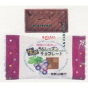 大阪京菓 ZRxピュアレ 5000G 生風ラムレーズンチョコ(ピロー)×1個【xfu】【送料無料(沖縄は別途送料)】
