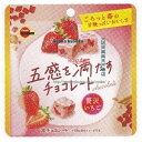 大阪京菓 ZRxブルボン 38G 五感を満たすチョコレート贅沢いちご【チョコ】×240個【xw】【送料無料(沖縄は別途送料)】