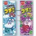 大阪京菓 ZRx明治チューイン 30G プチガム×160個【xeco】【エコ配 送料無料 (沖縄県配送不可 時間指定と夜間お届け不可)】