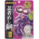 大阪京菓 ZRxユーハ味覚糖 45G 忍者めし鋼グレープ味×10個【s5mad】【メール便送料無料】