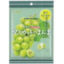 大阪京菓 ZRxリボン 84G マスカットのまんま×96個【xr】【送料無料(沖縄は別途送料)】