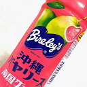 沖縄バヤリース 南国グァバジュース 500ml 24本入