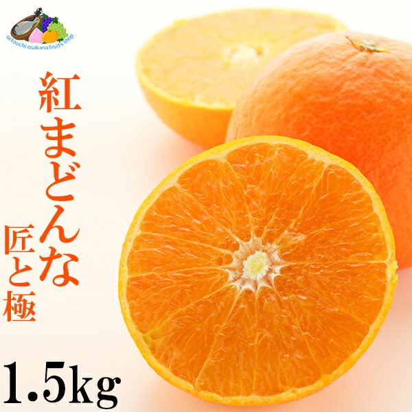 紅まどんな 中島産 1.5kg 青秀 M 10玉入り みかん 贈答用 愛媛県 中島産 ミカン JAえひめ中央 お歳暮 御歳暮 ギフト 紅マドンナ 日付指定不可　【送料無料】のサムネイル