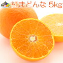 紅まどんな みかん 5kg 青秀 M〜2L 中島産 贈答用 ...