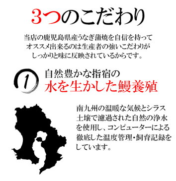 国産 うなぎ蒲焼 ハーフカット 母の日 父の日 御中元 ギフト プレゼント 送料無料 特大 1本200g×3本分 鹿児島産 鰻