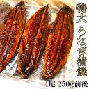 うなぎ蒲焼 1尾入 一尾250g前後 母の日 父の日 土用の丑の日 ギフト プレゼント 敬老の日 お歳暮 ご家庭用 冷凍 鰻