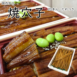 焼穴子 20尾入 約1kg たれ付き 送料無料 業務用 無頭 蒲焼 そのまま食べれる 国内加工 あなご