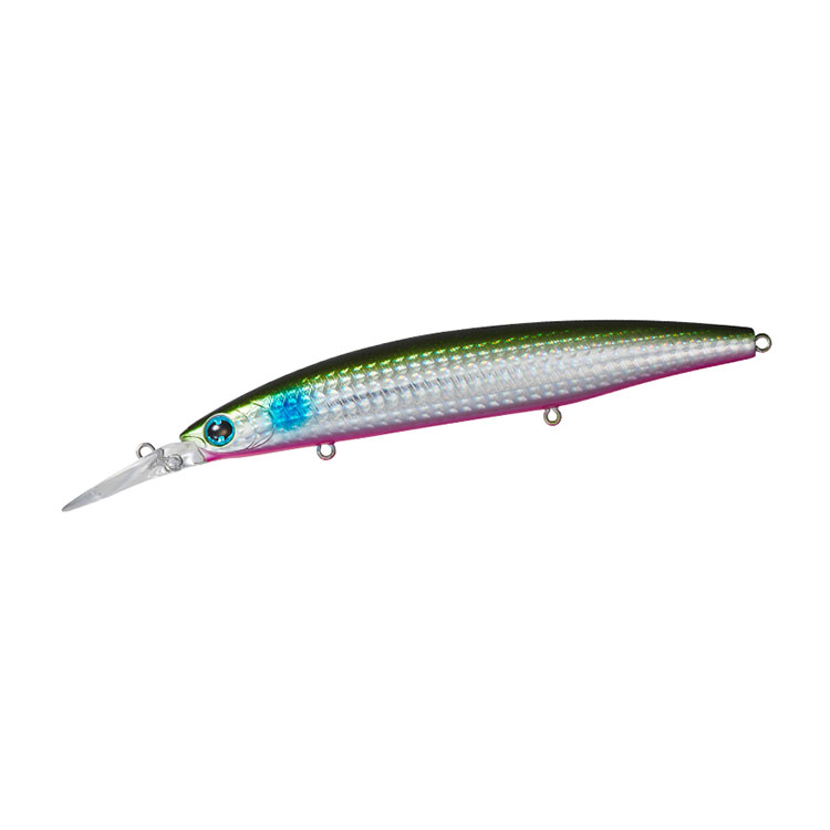 ショアラインシャイナーZ セットアッパー ダイワ 125S-DR ラトリンイナッ子 ピンクベリー DAIWA 小沼 正弥 道具 魚 海水 ダイワ 浜田商会