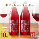 ボジョレー ヌーボー 2023 ラブレ・ロワ ヴィーガン HVE認証取得 永崎ひまる 各750ml 2本 送料無料