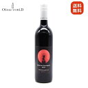 Cabernet Sauvignon 2022 吾妻山麓醸造所 赤ワイン 辛口 山形県産 750ml 送料無料