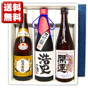 送料無料 越乃寒梅 別撰と、開運、出世城 大吟醸名入れボトル 各720mlの3本セット ギフトカートン入り 名入れ プレゼント 記念日祝 還暦祝 古希祝 喜寿祝 傘寿祝 米寿祝 誕生日祝 退職祝 内祝