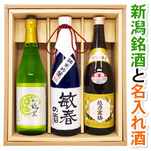 送料無料 越乃梅里 特別純米酒と、越乃寒梅 別撰、名入れ純米吟醸酒（千寿酒造）各720ml 3本セット ギフトカートン入り 名入れ プレゼント 記念日祝 還暦祝 古希祝 喜寿祝 傘寿祝 米寿祝 誕生日祝 退職祝 内祝