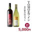 TOMOE　赤白飲み比べセット　750ml×2本【マスカットベリーA　シャルドネクリスプ】【ギフト箱入り】【送料無料一部地域を除く】 【三次ワイン　三次ワイナリー】【広島　国産ワイン】【ギフトプレゼント】【バレンタイン バレンタインギフト】【父の日】