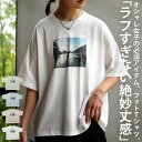 トップス big Tシャツ カットソー プリント グラフィック 天竺 ゆったり 半袖 カジュアル スポーティー ナチュラル シンプル ロゴT ニュアンス くすみカラー 大人 レディース おしゃれ 誕生日 プレゼント その1