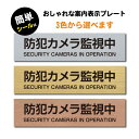 OSAMU 標識 案内板 メール便投函発送 防犯カメラ監視中 マーク付 ステンレス調 アクリル製 ステッカー プレート おしゃれ ドア ドアプレート 注意書き 表示サイン 防犯 ダミー 小型 家庭用 門柱 庭 セキュリティ 表札 標識 屋外対応 sign-p00019