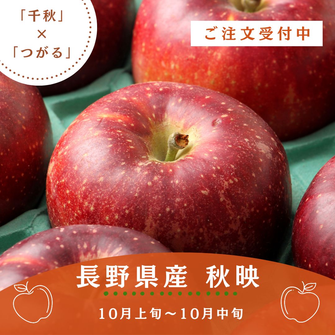 長野県産 りんご 秋映 2kg 林檎 リンゴ 果物 秋 送料込 送料無料 フルーツ 自家需要のサムネイル