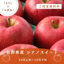 長野県産 りんご シナノスイート 2kg 林檎 リンゴ 果物 秋 送料込