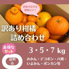 �����괻�̵͹礻3��7kg �ߤ��� �ǥ��ݥ� Ȭ�� ���褫�� �ݥ󥫥� �ܥ�塼�� ������ �� ������ �ޤȤ��㤤 �ܤδ��� ������ �ե롼�� ���å�