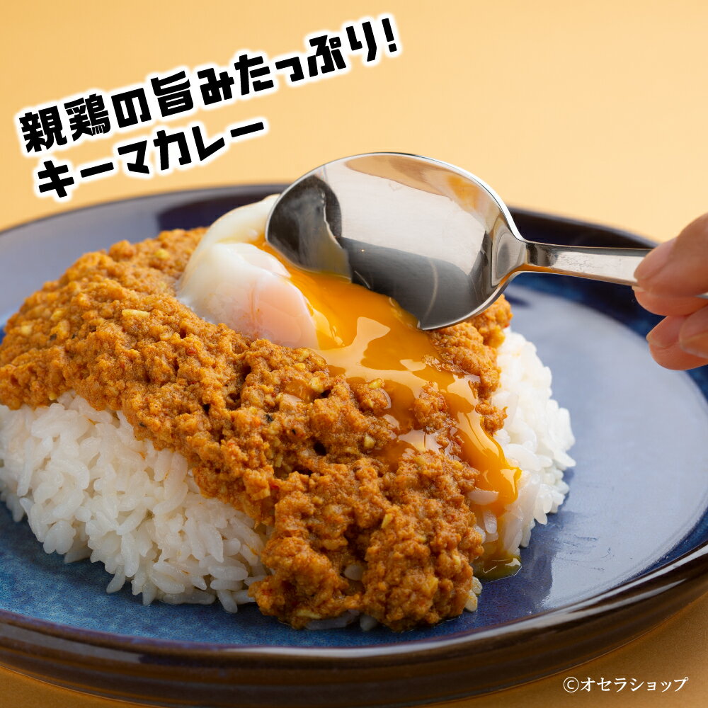 【 送料無料 】 親鶏の旨みたっぷり「キーマカレー」 6食セット／阪本鶏卵 [ お取り寄せ 時短 簡単 贅沢 グルメ レシピ付き ご馳走 ギフト プチギフト 結婚 出産 引越 退職 祝い 内祝い ラッピング お土産 自宅用 国産 鶏料理 チキン カレー スパイス 美星町 岡山 ]