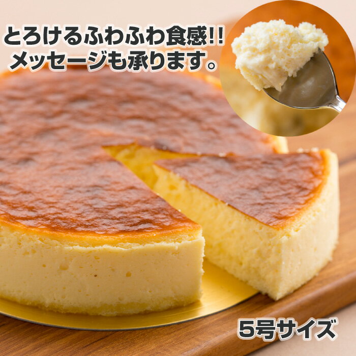 【 送料無料 】 半生チーズケーキ (