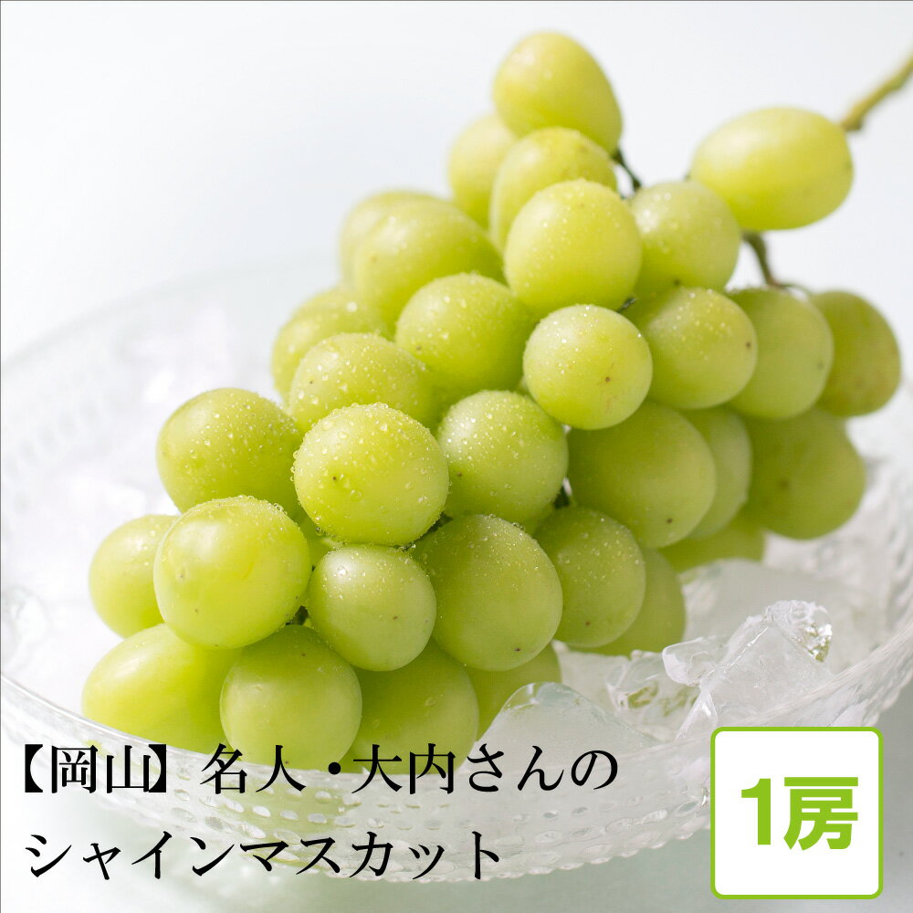 【 糖度18度以上 】 シャインマスカット 岡山県産 1房 （700g以上）／スコレー [ お中元 御中元 種なし 皮ごと 糖度18度以上 産地直送 ギフト プチギフト ラッピング 結婚 出産 引越 退職 祝い 内祝い フルーツ マスカット 果物 ぶどう お取り寄せ 国産 瀬戸内 岡山 ]