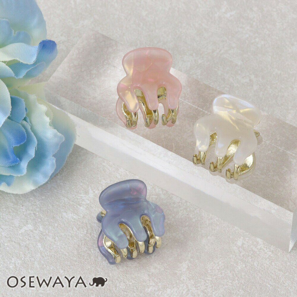 【楽天スーパーSALE 半額】ヘアクリップ 偏光オーロラ マーブル メタル ミニ バンスクリップ | OSEWAYA ヘアアクセサリー ヘアアクセ レディース ...