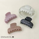 【楽天スーパーSALE 半額】ヘアクリップ マットカラー ミニ ストーン ドット アクリル バンスクリップ | OSEWAYA ヘアアクセサリー ヘアアクセ レ...