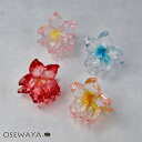 ヘアクリップ プルメリア クリア カラー バンスクリップ | OSEWAYA ヘアアクセサリー ヘアアクセ レディース 女性 大人 プレゼント ギフト 結婚式 カジュアル おしゃれ オシャレ かわいい 可愛い