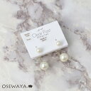 樹脂ピアス ニッケルフリー プラパール メタル 2way バックキャッチ スタッドピアス | OSEWAYA アクセサリー レディース 女性 大人 プレゼント ギフト 結婚式 誕生日 おしゃれ オシャレ かわいい 可愛い