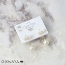 樹脂ピアス ニッケルフリー プラパール メタル 2way バックキャッチ スタッドピアス | OSEWAYA アクセサリー レディース 女性 大人 プレゼント ギフト 結婚式 誕生日 おしゃれ オシャレ かわいい 可愛い