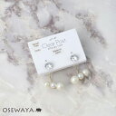樹脂ピアス ニッケルフリー プラパール ガラス メタル 2way バックキャッチ スタッドピアス | OSEWAYA アクセサリー レディース 女性 大人 プレゼント ギフト 結婚式 誕生日 おしゃれ オシャレ かわいい 可愛い