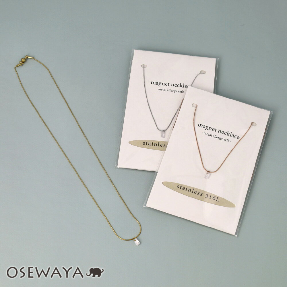 12/4限定2時間30％OFF 【送料無料】ネックレス ステンレス メタル キュービックジルコニア レクタングル 超極細 チェーン マグネット プチネックレス | OSEWAYA アクセサリー レディース 女性 大人 プレゼント ギフト 結婚式 誕生日 おしゃれ オシャレ