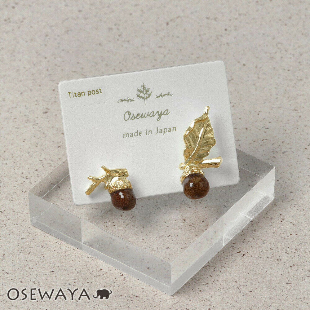 ☆663❤️ どんぐり 秋 木の実 木の葉 ピアス イヤリング
