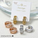 【楽天スーパーSALE 半額】ピアス ニッケルフリー メタル ローマ数字 ナンバー ライン フープピアス | OSEWAYA アクセサリー レディース 金属アレ...