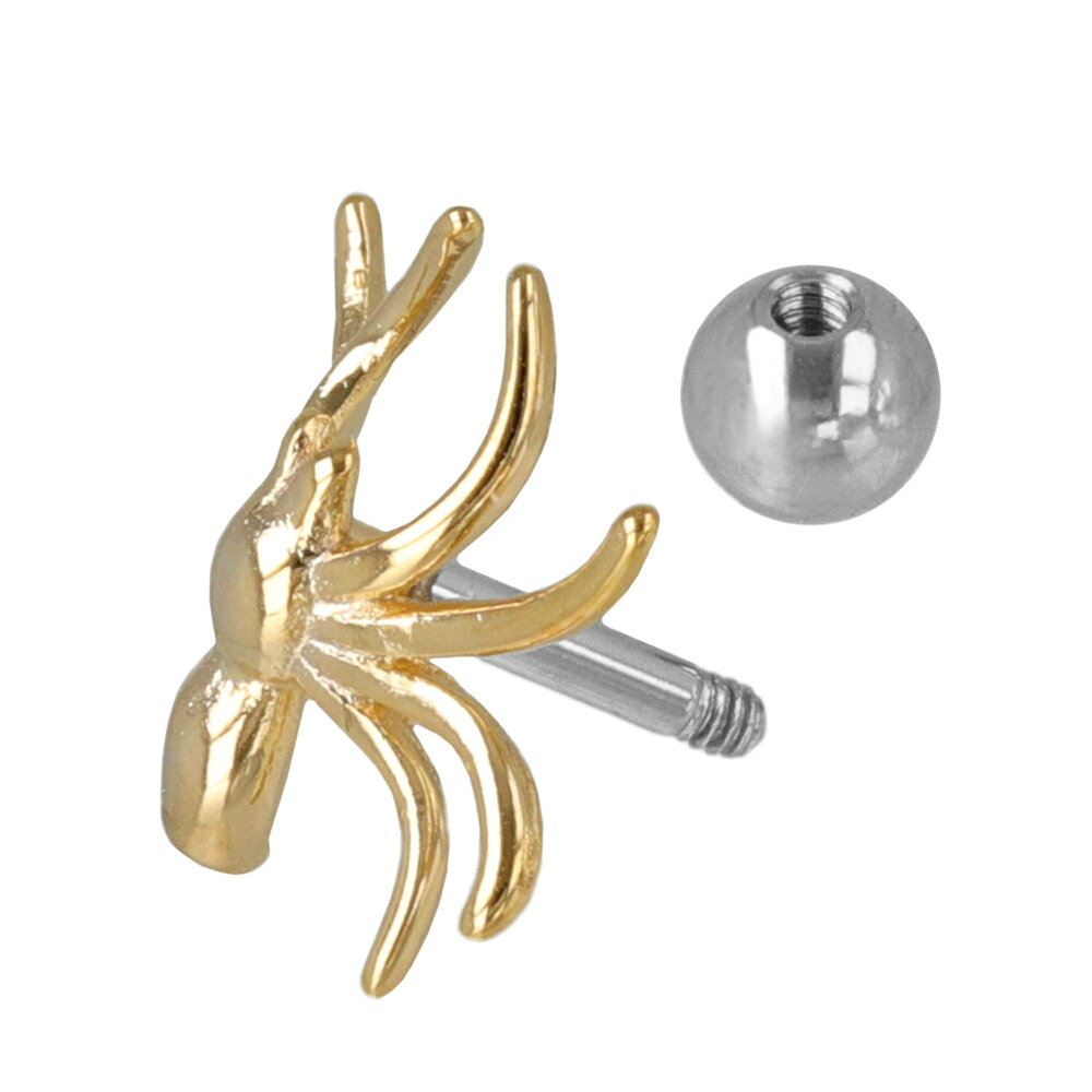 ボディピアス 蜘蛛 クモ スパイダー ストレートバーベル ネジ式 サージカルステンレス 14G 【1個販売】 | OSEWAYA アクセサリー レディース 女性 大人 プレゼント オシャレ 可愛いの商品画像 3