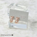 イヤリング ニッケルフリー ロゼシルバー クロス ドロップ ネジバネ式イヤリング | OSEWAYA アクセサリー レディース 金属アレルギー 女性 大人 プレ...