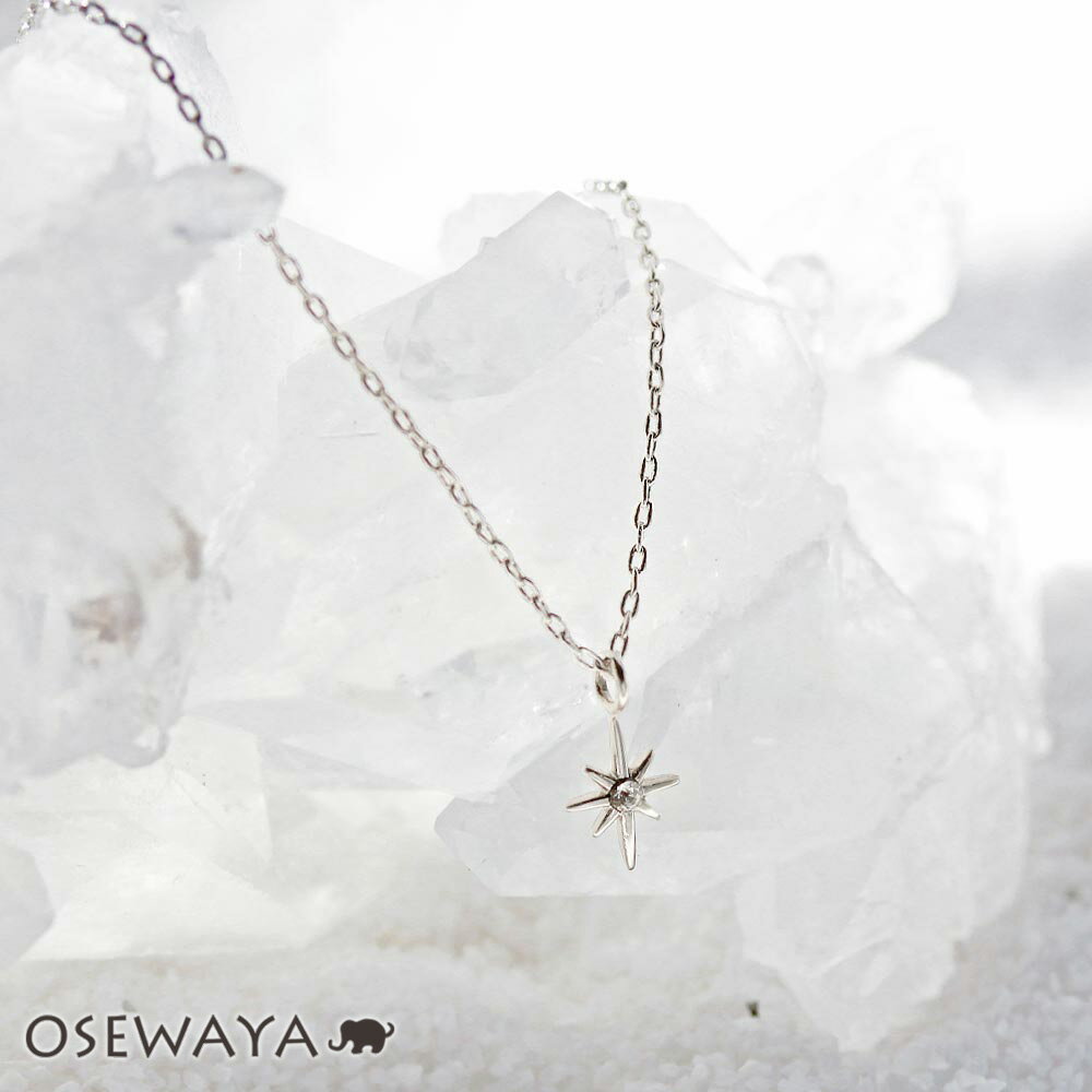 【楽天スーパーSALE 半額】ネックレス ニッケルフリー 北極星 ストーン プチネックレス | OSEWAYA アクセサリー レディース 女性 大人 プレゼント...