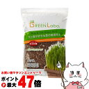 【最大400円OFFクーポン】エイムクリエイツ GEEN Labo Dog & Cat Grass soil 犬と猫が好きな草の栽培用土 3L【happiest...