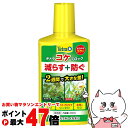 【最大400円OFFクーポン】スペクトラムブランズジャパン テトラ コケブロック 250ml【happiest】【SBT】 (6042763)