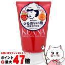 毛穴撫子 重曹泡洗顔 100g【石澤研究所】【洗顔フォーム】【送料無料】 (6045114)
