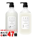【お買い物マラソン最大47倍】【セット】フォード CE3シリーズ 本体セット【シャンプー1000ml + トリートメント1000g】【シーイースリー】【ミアンビューティー】【弱酸性】【フォードヘア化粧品】【三口産業】【宅配便送料無料】 (6049898-set1)
