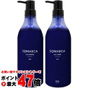 【お買い物マラソン最大47倍】【セット】ホーユー ソマルカ アッシュセット カラーシャンプー770ml+カラーチャージ750g【ホームケア/ヘアカラー/染毛料】【宅配便送料無料】 (6043910-set1)